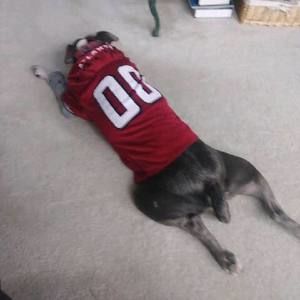 Meet your Posher, Cory